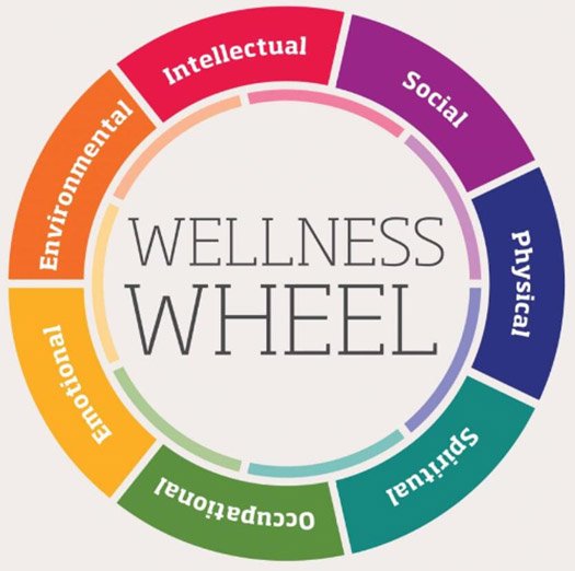 wellness wheel